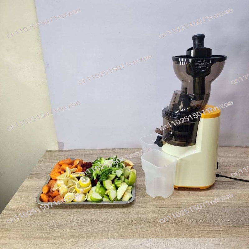 Juicer Cold Press Slow - 76mm Large Diameter Slow Juicer High