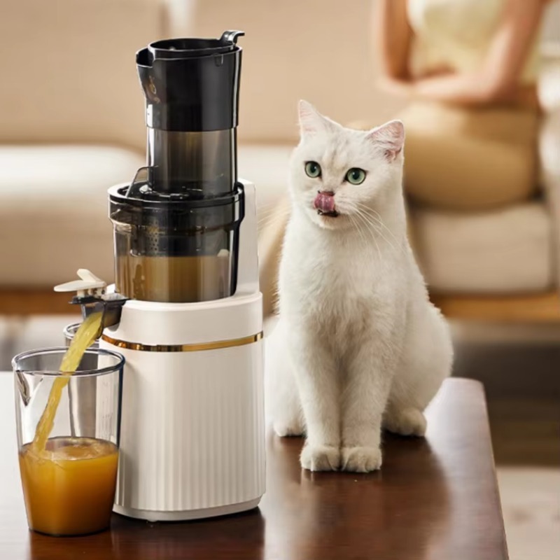 Juicer Cold Press Slow - Slow Masticating Cold Press Juicer Whole