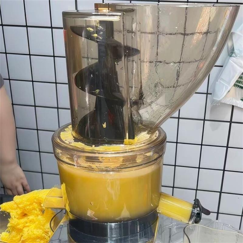 Juicer Cold Press Slow - 500W Commercial High Productivity Big Mouth