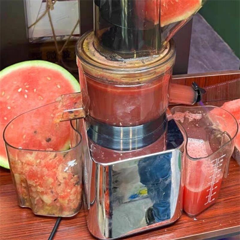 Juicer Cold Press Slow - 500W Commercial Use Home Use Slow