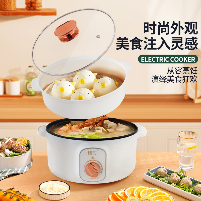 Multifunctional Mini Electric  - Kitchen Appliances Cooking ulasan dan harga