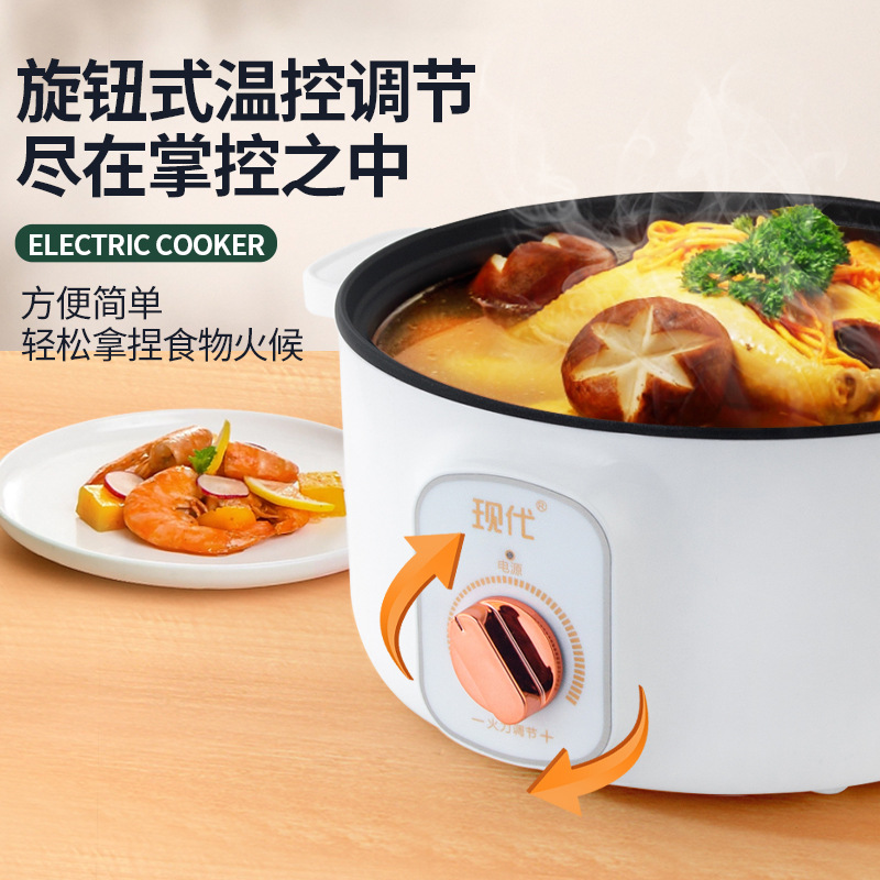 Multifunctional Mini Electric  - Kitchen Appliances Cooking ulasan dan harga