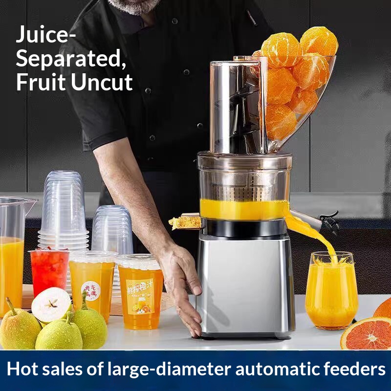 500W Hot Sale Silver Body Cold - Juicer Cold Press Slow ulasan dan harga